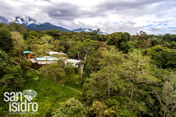 San Isidro Lodge in the rainforest